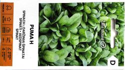 Spinach Puma F1 Seeds